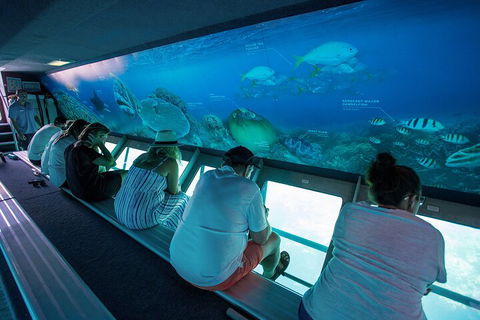 Great Barrier Reef Day Cruise To Reefworld - Lightning Ridge Tourism 0