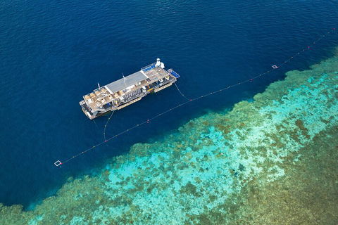 Great Barrier Reef Day Cruise To Reefworld - Lightning Ridge Tourism 2