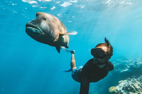 Great Barrier Reef Day Cruise To Reefworld - Lightning Ridge Tourism 3