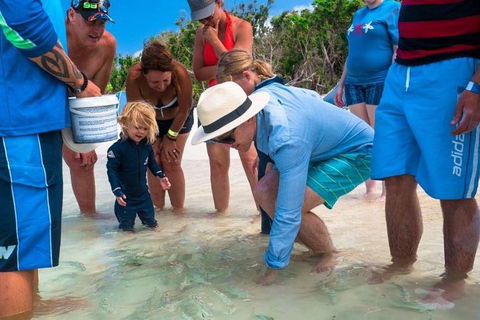 Whitehaven Beach And Hamilton Island Cruise - Lightning Ridge Tourism 1