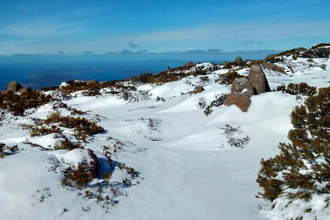 Mount Wellington Ultimate Experience Tour From Hobart - Lightning Ridge Tourism 1