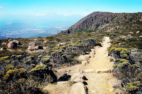Mount Wellington Ultimate Experience Tour From Hobart - Lightning Ridge Tourism 5