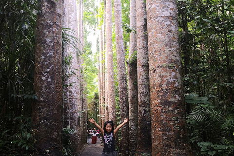Private Tour To Paronella Park, Historic Village Herberton And Wild Life Wallaby - Lightning Ridge Tourism 2