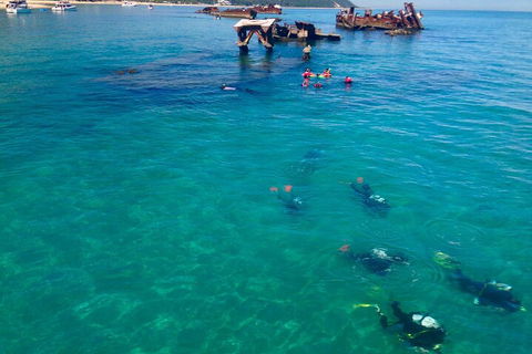 Adventure Moreton Island Scuba Dive Tour - Lightning Ridge Tourism 0