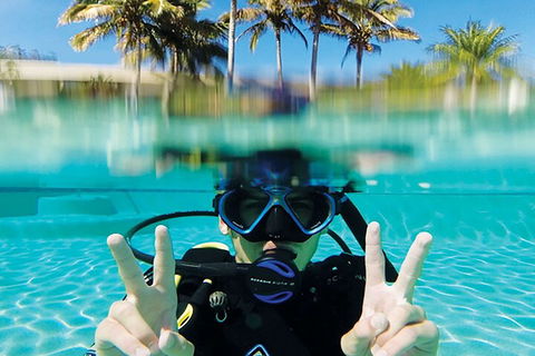 Adventure Moreton Island Scuba Dive Tour - Lightning Ridge Tourism 2