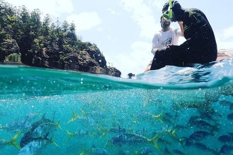 2 Night Small Group Whitsundays Sailing Adventure Aboard Mandrake - Lightning Ridge Tourism 5