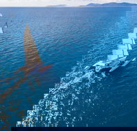 2-Night Whitsunday Islands Sailing Adventure on Trimaran Avatar - Lightning Ridge Tourism