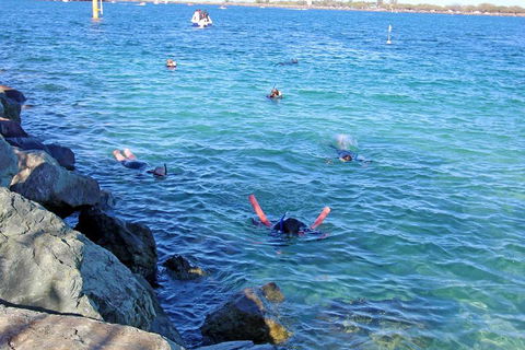 Wave Break Island Scuba Diving On The Gold Coast - Lightning Ridge Tourism 1