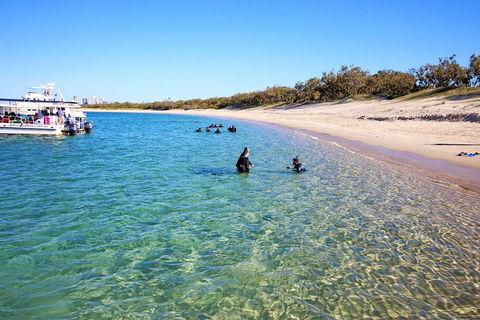 Wave Break Island Scuba Diving On The Gold Coast - Lightning Ridge Tourism 4
