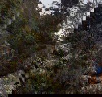 kunanyi / Mt. Wellington Guided Hiking Tour - Lightning Ridge Tourism
