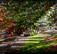 Fully Inclusive Blue Mountains Private Tour inc Scenic World  Featherdale entry - Lightning Ridge Tourism