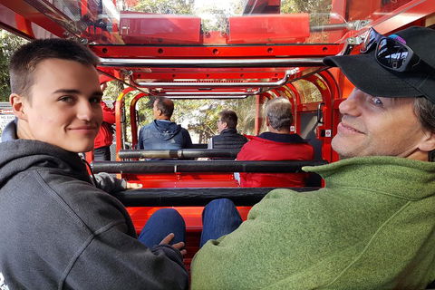 Fully Inclusive Blue Mountains Private Tour Inc Scenic World & Featherdale Entry - Lightning Ridge Tourism 1