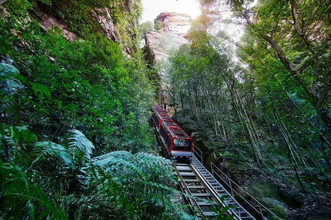 Fully Inclusive Blue Mountains Private Tour Inc Scenic World & Featherdale Entry - Lightning Ridge Tourism 4