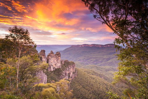 Fully Inclusive Blue Mountains Private Tour Inc Scenic World & Featherdale Entry - Lightning Ridge Tourism 5