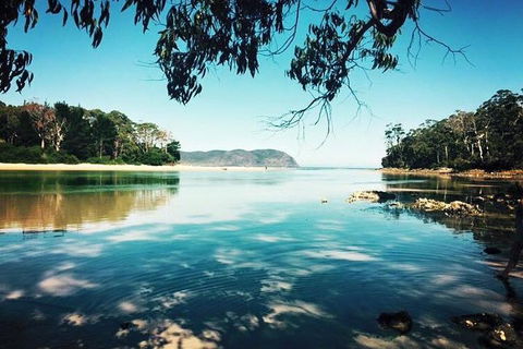 Full-Day Guided Bruny Island Tour From Hobart - Lightning Ridge Tourism 1
