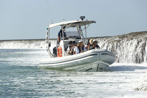 Cygnet Bay Explorer - Lightning Ridge Tourism 2