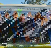 Full Day Mount Tamborine Winery Tour from Gold Coast - Lightning Ridge Tourism