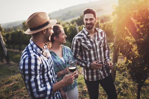 Full Day Mount Tamborine Winery Tour From Gold Coast - Lightning Ridge Tourism 5