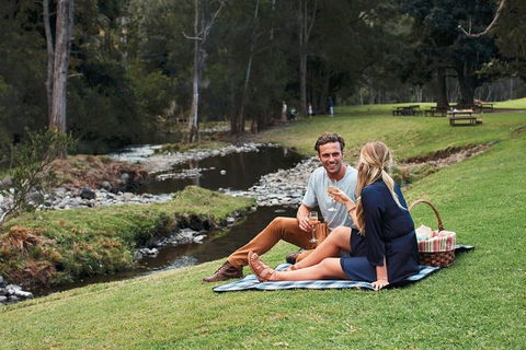 Mt Tamborine - Hinterland Wonders Self Guided - Lightning Ridge Tourism 0