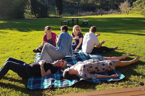 Mt Tamborine - Hinterland Wonders Self Guided - Lightning Ridge Tourism 2
