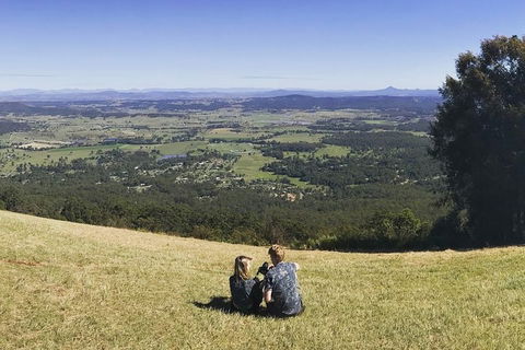 Mt Tamborine - Hinterland Wonders Self Guided - Lightning Ridge Tourism 4