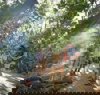 Mossman Gorge Adventure Day - Lightning Ridge Tourism