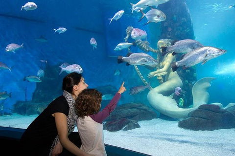SEA LIFE Melbourne Aquarium Admission Ticket - Lightning Ridge Tourism 4