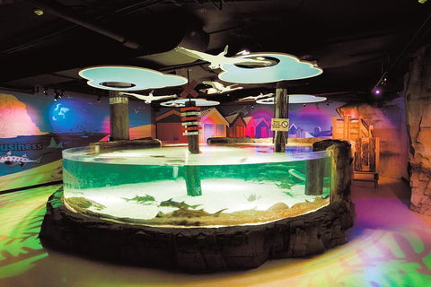SEA LIFE Melbourne Aquarium Admission Ticket - Lightning Ridge Tourism 5
