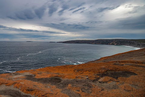 Kangaroo Island Luxury Small Group 'Flinders Chase Focus' Full Day Tour - Lightning Ridge Tourism 0
