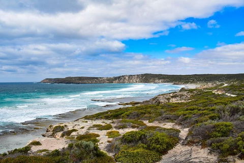 Kangaroo Island Luxury Small Group 'East End Explorer' Full Day Tour - Lightning Ridge Tourism 0