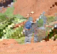 Afternoon Kata Tjuta Small Group Tour - Lightning Ridge Tourism
