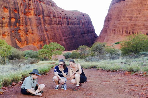 Afternoon Kata Tjuta Small Group Tour - Lightning Ridge Tourism 2