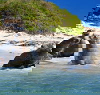 Dolphin Penguin and Sea Lion Cruise - Lightning Ridge Tourism