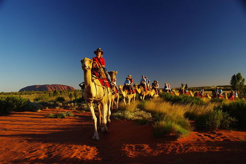 Uluru Small-Group Tour By Camel At Sunrise Or Sunset - Lightning Ridge Tourism 1