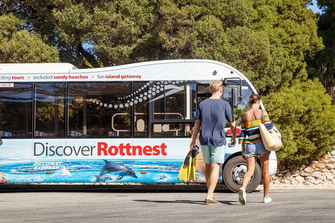 Discover Rottnest With Ferry & Bus Tour From Perth Or Fremantle - Lightning Ridge Tourism 1