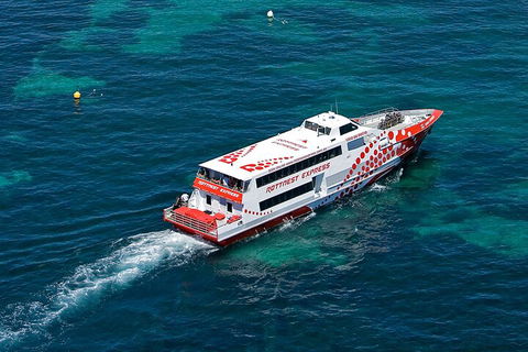 Discover Rottnest With Ferry & Bus Tour From Perth Or Fremantle - Lightning Ridge Tourism 3