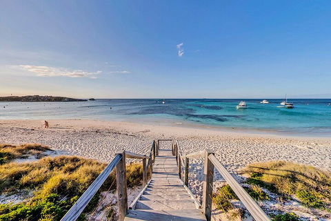 Discover Rottnest With Ferry & Bus Tour From Perth Or Fremantle - Lightning Ridge Tourism 4