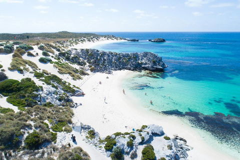 Discover Rottnest With Ferry & Bus Tour From Perth Or Fremantle - Lightning Ridge Tourism 5