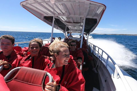 Adventure Rottnest Tour With Ferry & Adventure Cruise From Perth Or Fremantle - Lightning Ridge Tourism 0