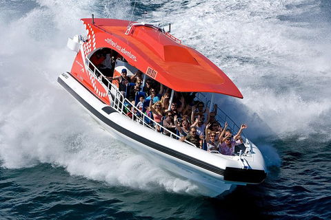 Adventure Rottnest Tour With Ferry & Adventure Cruise From Perth Or Fremantle - Lightning Ridge Tourism 2