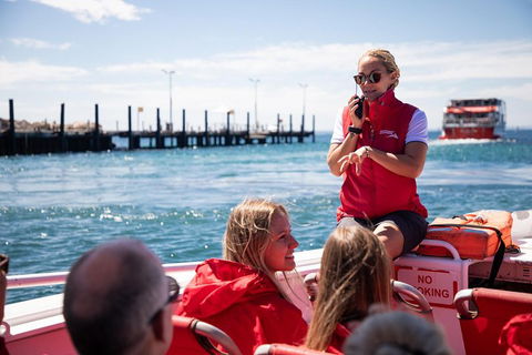 Adventure Rottnest Tour With Ferry & Adventure Cruise From Perth Or Fremantle - Lightning Ridge Tourism 4
