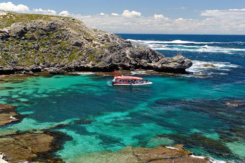 Adventure Rottnest Tour With Ferry & Adventure Cruise From Perth Or Fremantle - Lightning Ridge Tourism 5