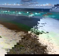 Experience Rottnest with Ferry  Bike Hire from Perth or Fremantle - Lightning Ridge Tourism