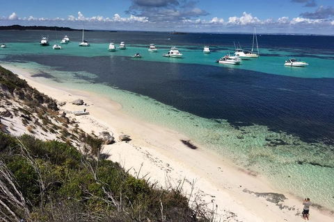 Experience Rottnest With Ferry & Bike Hire From Perth Or Fremantle - Lightning Ridge Tourism 0