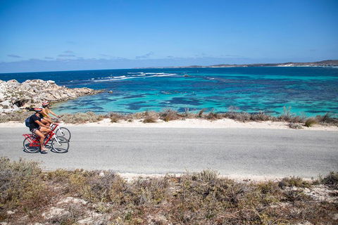 Experience Rottnest With Ferry & Bike Hire From Perth Or Fremantle - Lightning Ridge Tourism 2