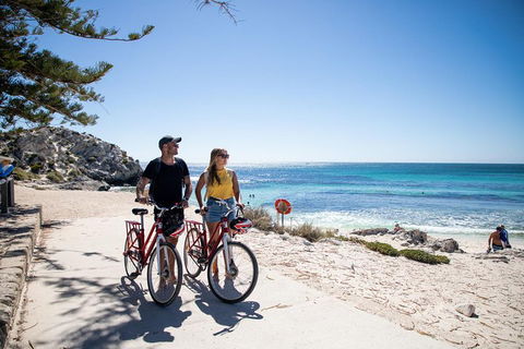 Experience Rottnest With Ferry & Bike Hire From Perth Or Fremantle - Lightning Ridge Tourism 4