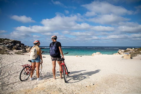 Experience Rottnest With Ferry & Bike Hire From Perth Or Fremantle - Lightning Ridge Tourism 5