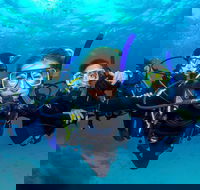 Great Barrier Reef Diving and Snorkeling Cruise from Cairns - Lightning Ridge Tourism