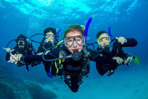 Great Barrier Reef Diving And Snorkeling Cruise From Cairns - Lightning Ridge Tourism 0