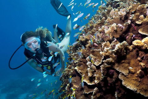 Great Barrier Reef Diving And Snorkeling Cruise From Cairns - Lightning Ridge Tourism 1